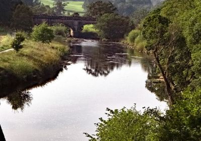 Bolton Priory