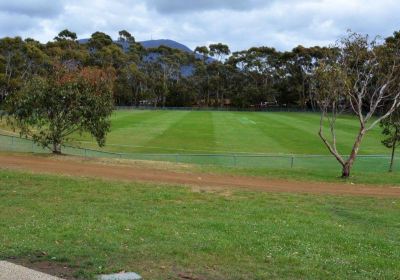 Mount Nelson Oval And Playground