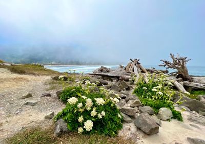 Yachats State Park