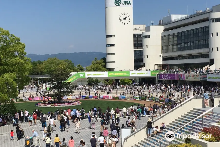 京都競馬場