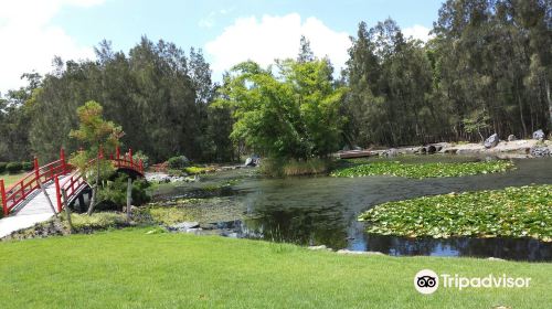 North Coast Regional Botanic Garden - Coffs Harbour