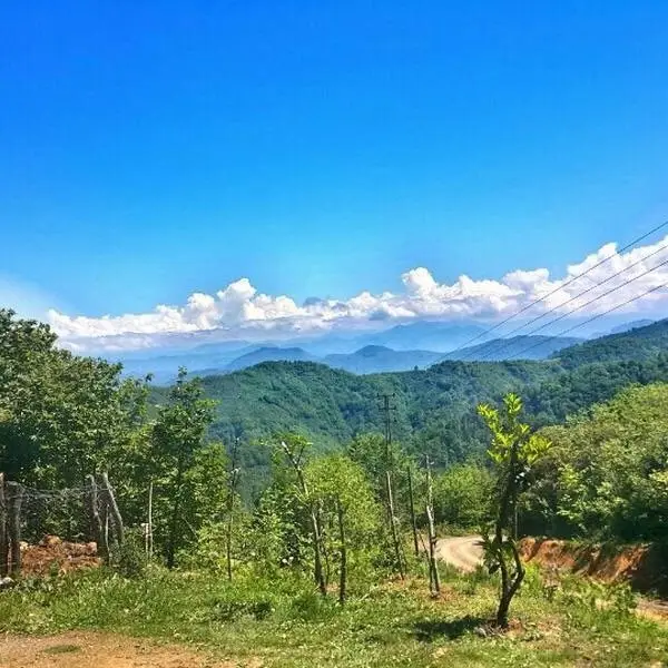Gulyali