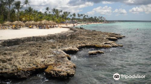 Public Beach Playa Dominicus