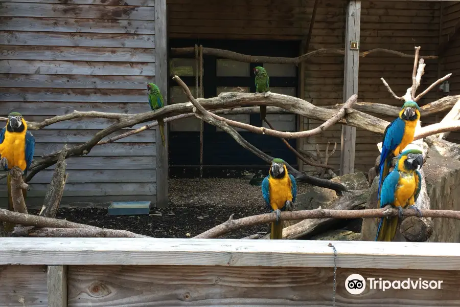 Zoo Veldhoven