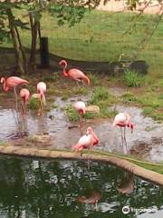 Parque Zoológico Animaya
