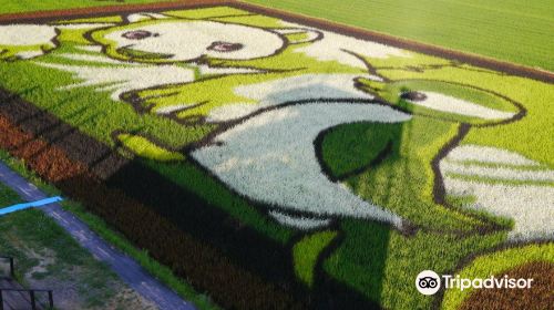 Tambo art (Art on rice fields -Asahikawa )