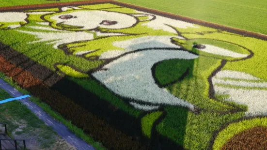 Tambo art (Art on rice fields -Asahikawa )