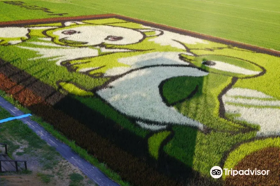 Tambo art (Art on rice fields -Asahikawa )