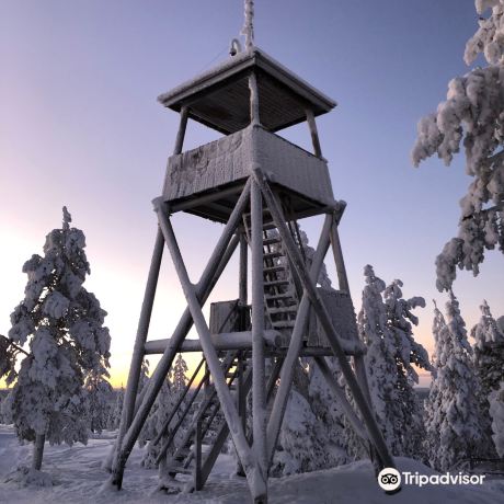 Syvasenvaara Fell