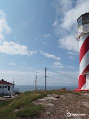 Northwest Head Lighthouse