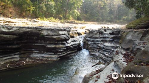 Alaungdaw Kathapa National Park