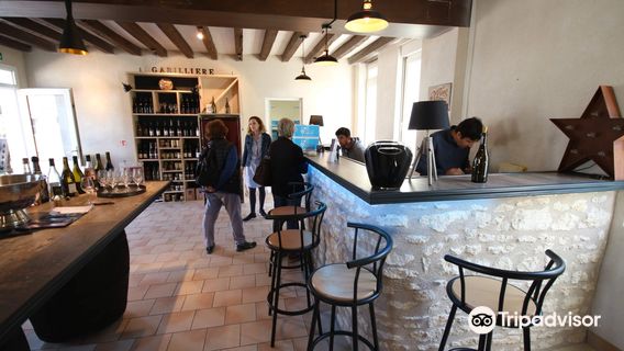 Domaine de la Gabilliere