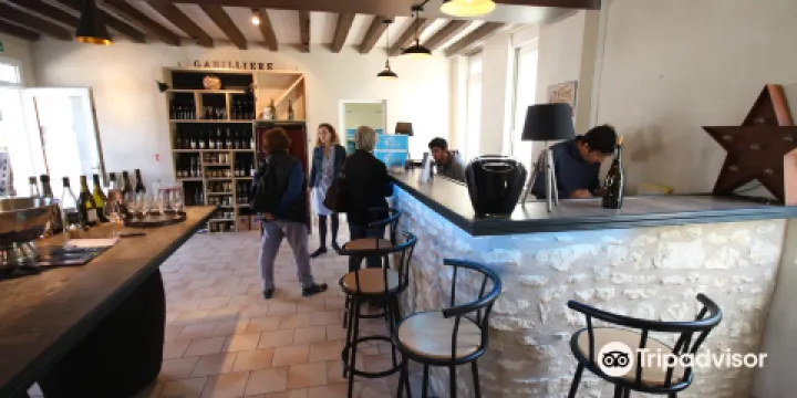 Domaine de la Gabilliere