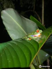 Arenal Oasis Eco Lodge & Wildlife Refuge