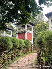 Kodanad Elephant Training Centre