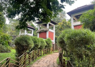 Kodanad Elephant Training Centre