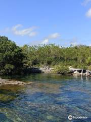 YAL-KU CENOTE Y Laguna Yalku