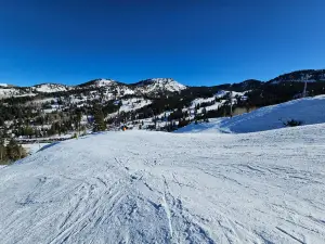 Brighton Resort
