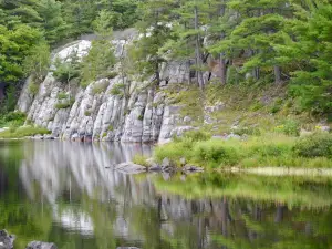 Whitefish Falls