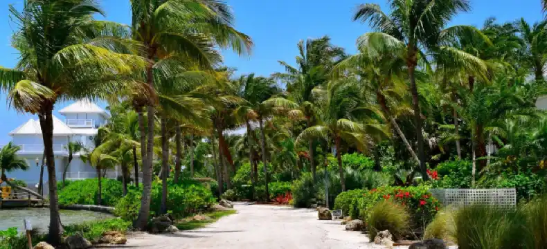 Hotels in Captiva