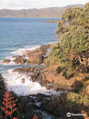 Taumarumaru Scenic Reserve Walk