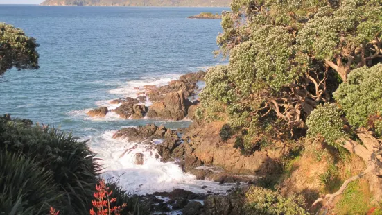 Taumarumaru Scenic Reserve Walk