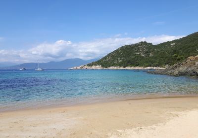 Plage de Campomoro