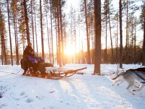 Wild Lapland