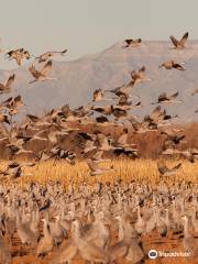 Bernardo Wildlife Area