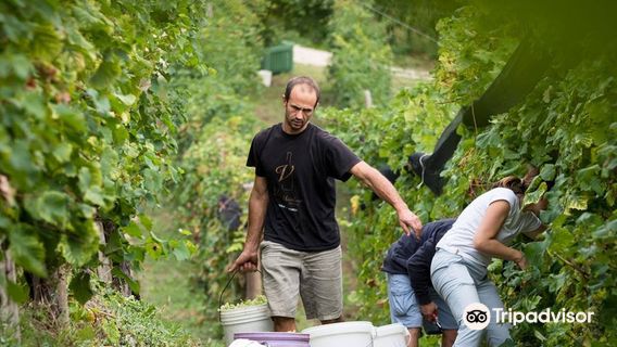 Bastia Valdobbiadene
