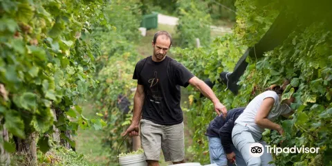 Bastia Valdobbiadene