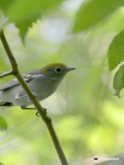 Baxter Conservation Area