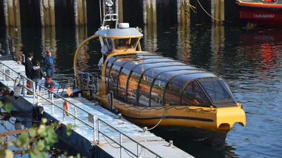 Croisières Baleines Neptune Escoumins