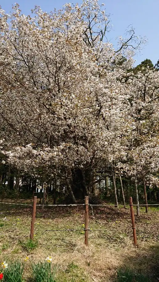 Hotels near Odo no Sakura