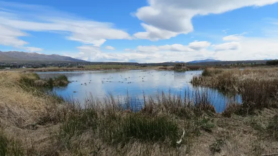 Laguna Nimez Reserva Natural Municipal