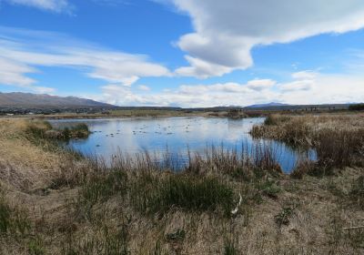 Reserva Laguna Nimez