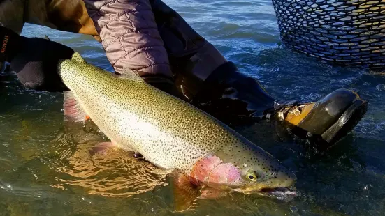 Kenai River Cowboys