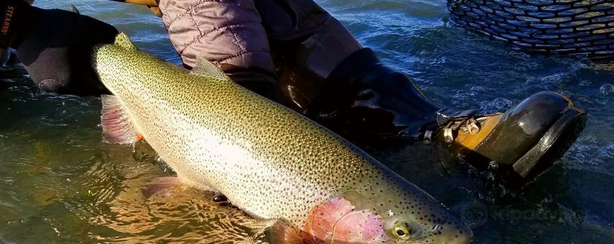Kenai River Cowboys