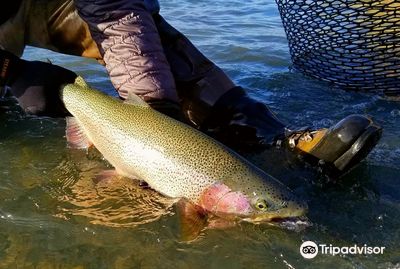 Kenai River Cowboys