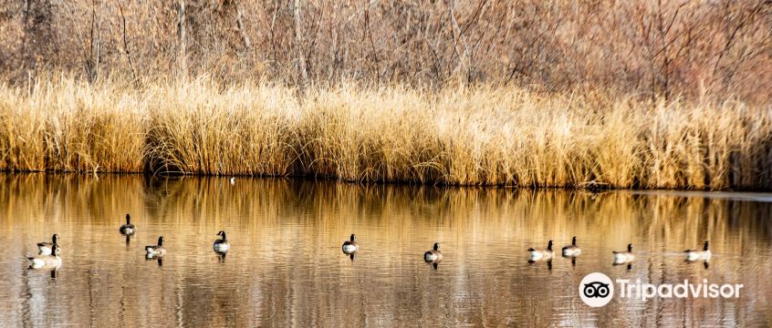 Rio Grande Nature Center State Park