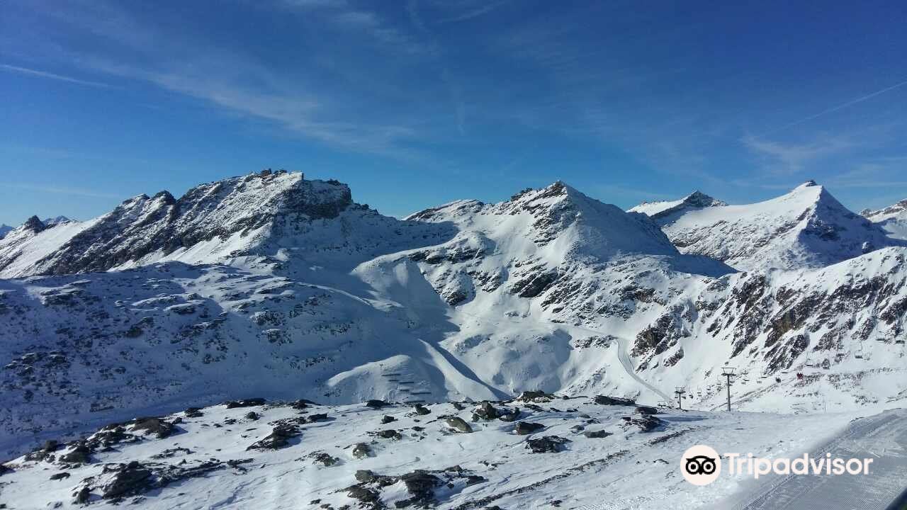 Molltaler Gletscher