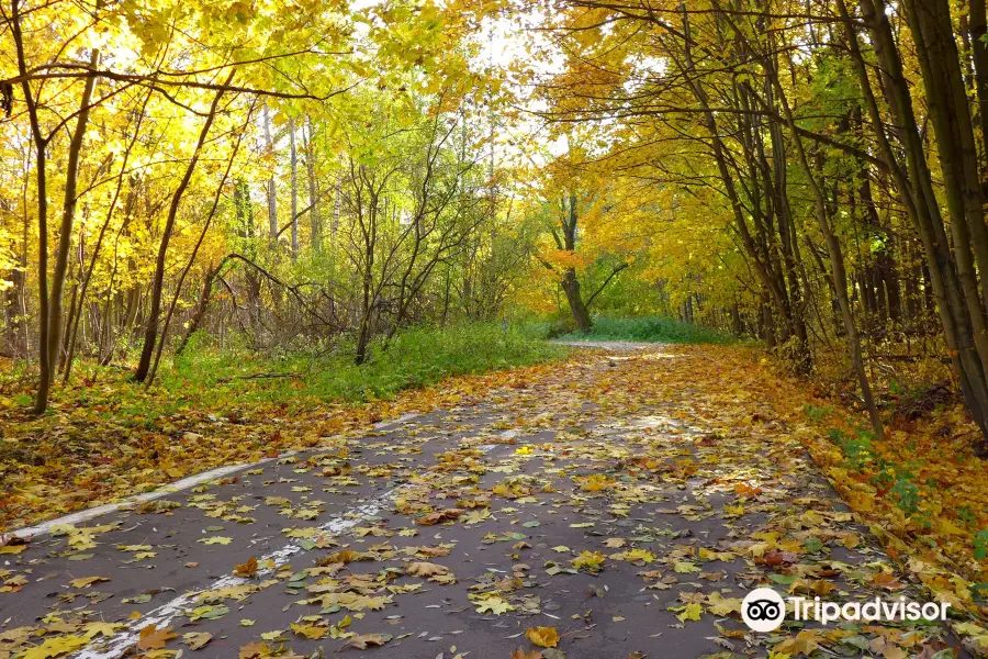 Izmailovo Natural and Historical Park