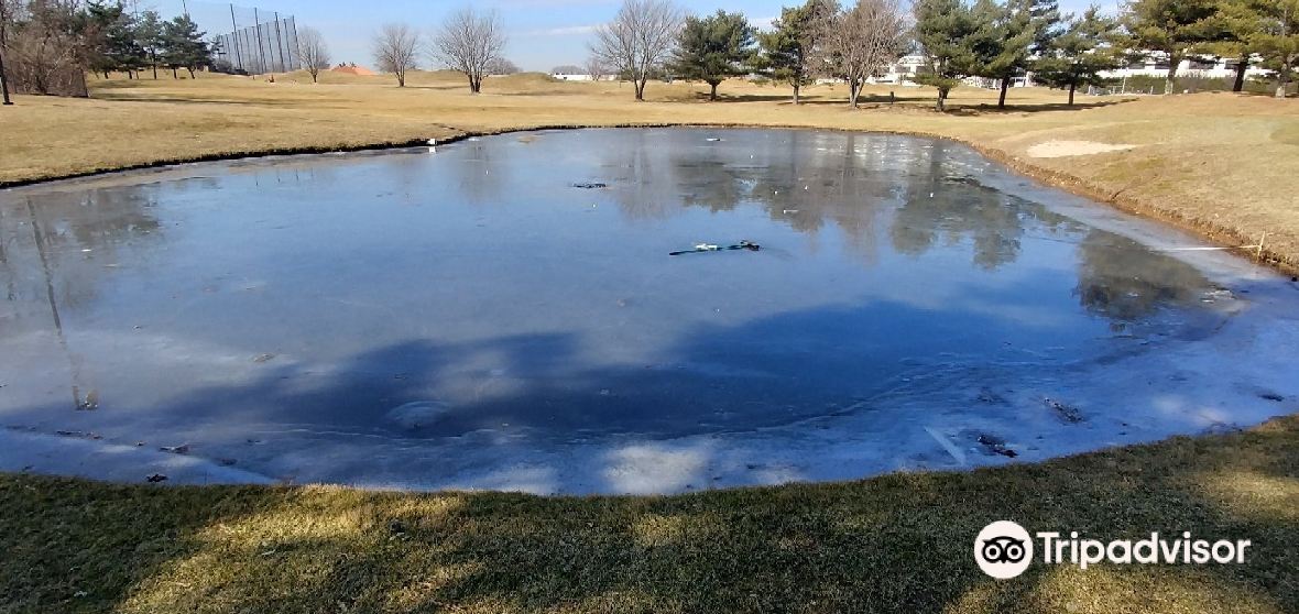 Brentwood Travel Guide 2024 Things to Do, What To Eat & Tips