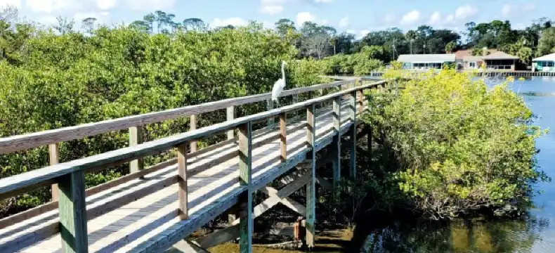 Hotels in Flagler Beach