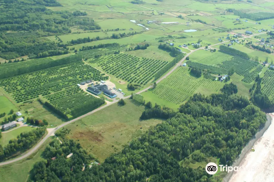 Belliveau Orchard