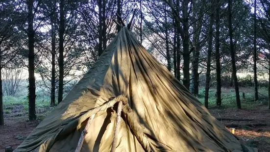 Red Branch Bushcraft