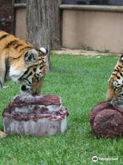 ローリー・パーク動物園