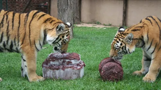 ローリー・パーク動物園