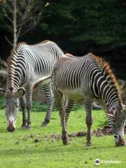 ヘルブルン動物園