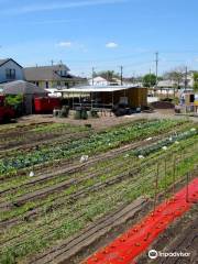 Edgemere Farm